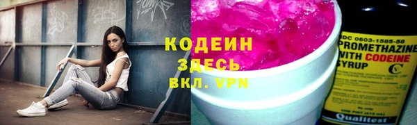 индика Покачи